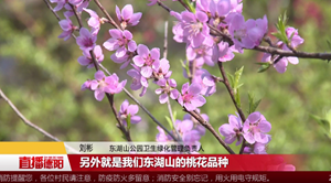 春回大地花开旌阳 正是赏景好时节