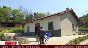 新闻特写：老林搬家记