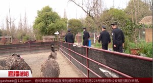 什邡：森林公安战“疫”  野生动物保护在路上