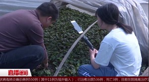 广汉：村民直播带货 农产品线上销售“火”