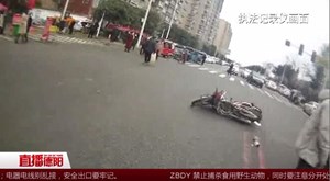 糊涂！父亲酒驾交通肇事 儿子顶包欲逃避处罚
