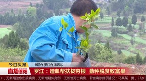 罗江：造血帮扶拔穷根 勤种脱贫致富果