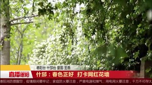 什邡：春色正好 打卡网红花墙