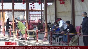 清明踏青去哪里？这份攻略请收好