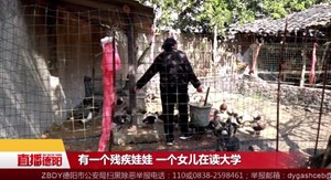 杨大凤：只要肯干 脱贫就有希望