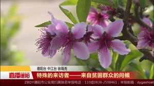 特殊的来访者——来自贫困群众的问候