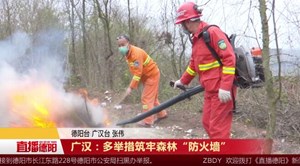 广汉：多举措筑牢森林“防火墙”