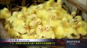 2020年4月7日新闻联播