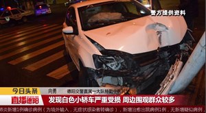 开车撞电杆  酒驾惹的祸