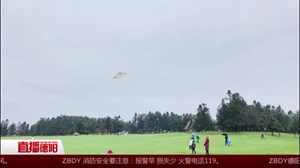 重逢武隆仙女山  清明惊喜相拥山水间