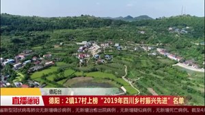 德阳：2镇17村上榜“2019年四川乡村振兴先进”名单 