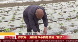 陈其锡：用勤劳双手摘掉贫困“帽子”