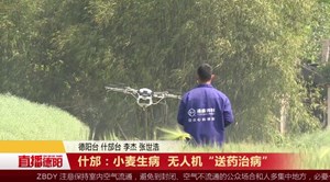 什邡：小麦生病 无人机“送药治病”