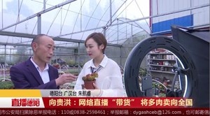 向贵洪：网络直播“带货” 将多肉卖向全国