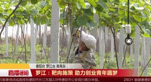 罗江：靶向施策 助力创业青年圆梦