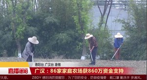 广汉：86家家庭农场获860万资金支持