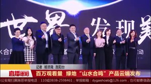 百万观看量  绿地“山水合鸣”产品云端发布