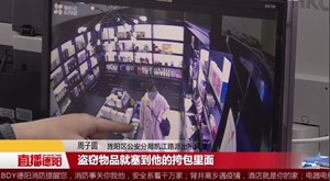 奇葩！女子频频下手盗窃 只为寻求刺激