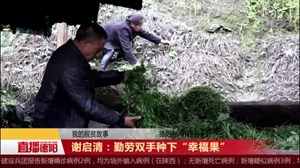 谢启清：勤劳双手种下“幸福果”
