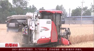 广汉：小春收割好“丰”景