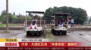 什邡：大战红五月“共享农机”插秧忙