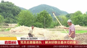 党员志愿服务队：解决好群众最关切的事