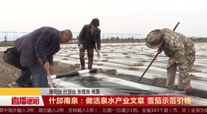 什邡南泉：做活泉水产业文章 雪茄示范引领   