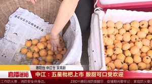 中江：五星枇杷上市 酸甜可口受欢迎