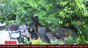 老房子“逆生长”：精心改造 华丽变身