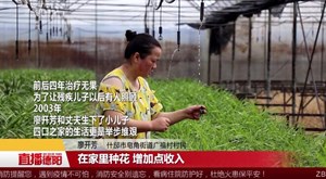 廖开芳：把致富的希望种在苗圃里