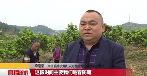 李祖荣：做活一棵柚树经济 兴一方百姓