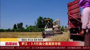 罗江：3.9万亩小麦喜获丰收