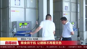 粮食烘干机 让晒粮不再看天色