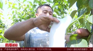 向贵平：身残志坚 撑起家里一片天