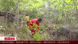 广汉：多措并举 全面加强森林防火工作