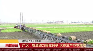 广汉：轨道助力暗化育秧 大春生产节本增效