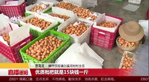 绵竹汉旺：线上售卖枇杷 解决果农大麻烦