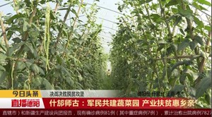 什邡师古：军民共建蔬菜园 产业扶贫惠乡亲