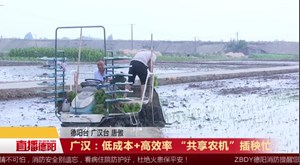 广汉：低成本+高效率 “共享农机”插秧忙