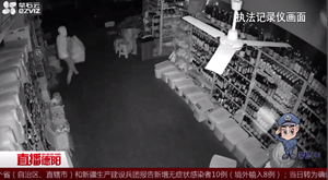 “搬家式”盗窃 疯狂盗贼终落网