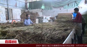 什邡湔氐：秸秆回收做床垫  变废为宝 