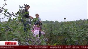 罗江：优化种植结构 促进农业可持续发展