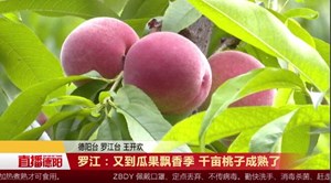 罗江：又到瓜果飘香季 千亩桃子成熟了 