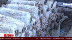 秸秆变废为宝 助农助企增收