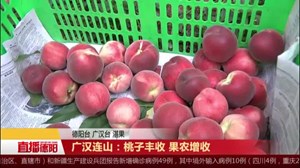 广汉连山：桃子丰收 果农增收