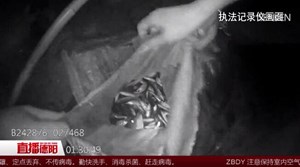 广汉男子非法电鱼 最终难逃法网