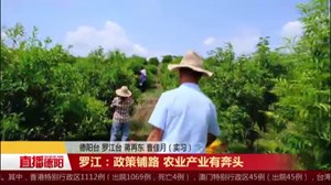 罗江：政策铺路 农业产业有奔头
