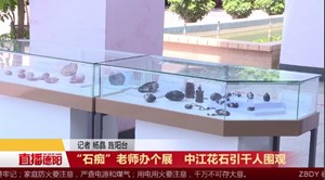 “石痴”老师办个展　中江花石引千人围观