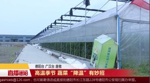 高温季节 蔬菜“降温”有妙招