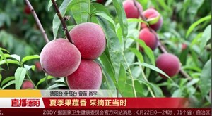 夏季果蔬香 采摘正当时